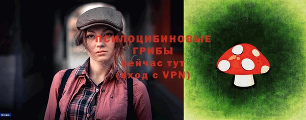 круглые Гусиноозёрск