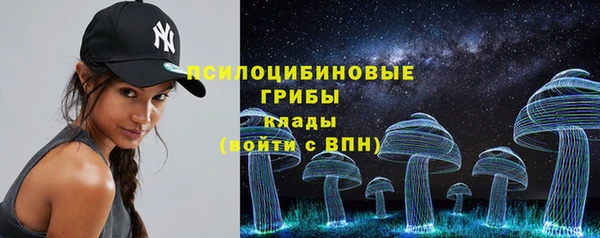 круглые Гусиноозёрск