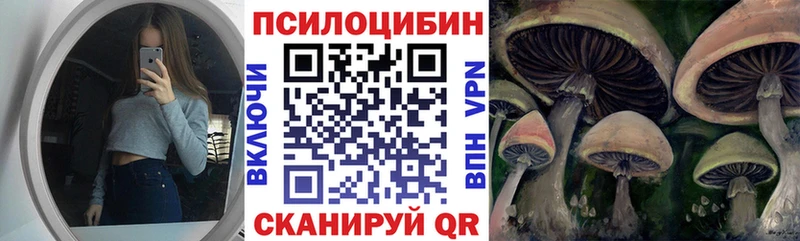 закладка  Первомайск  Псилоцибиновые грибы GOLDEN TEACHER 